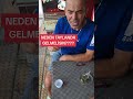 1 Mayıs 2026
