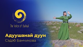 АДУУШАНАЙ ДУУН - СЭДЭБ БАНЧИКОВА | ADUUSHANAI DUUN – SEDEB BANCHIKOVA