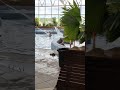 Tremy Maltańskie ! #viralvideo #shortvideo #nature #family #Wow #chillout #trip #termy #wakacje