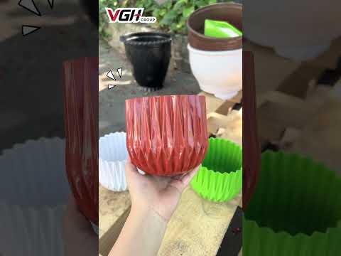 CHẬU KIM CƯƠNG - Chậu nhỏ để bàn Volga VN | VGH GROUP