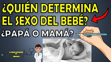 ¿Es la mujer quien elige el esperma?