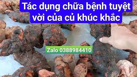 Tác dụng chữa bệnh tuyệt vời của củ khúc khắc, tắc kè đá, cây một lá... Sđt Zalo 0388984410