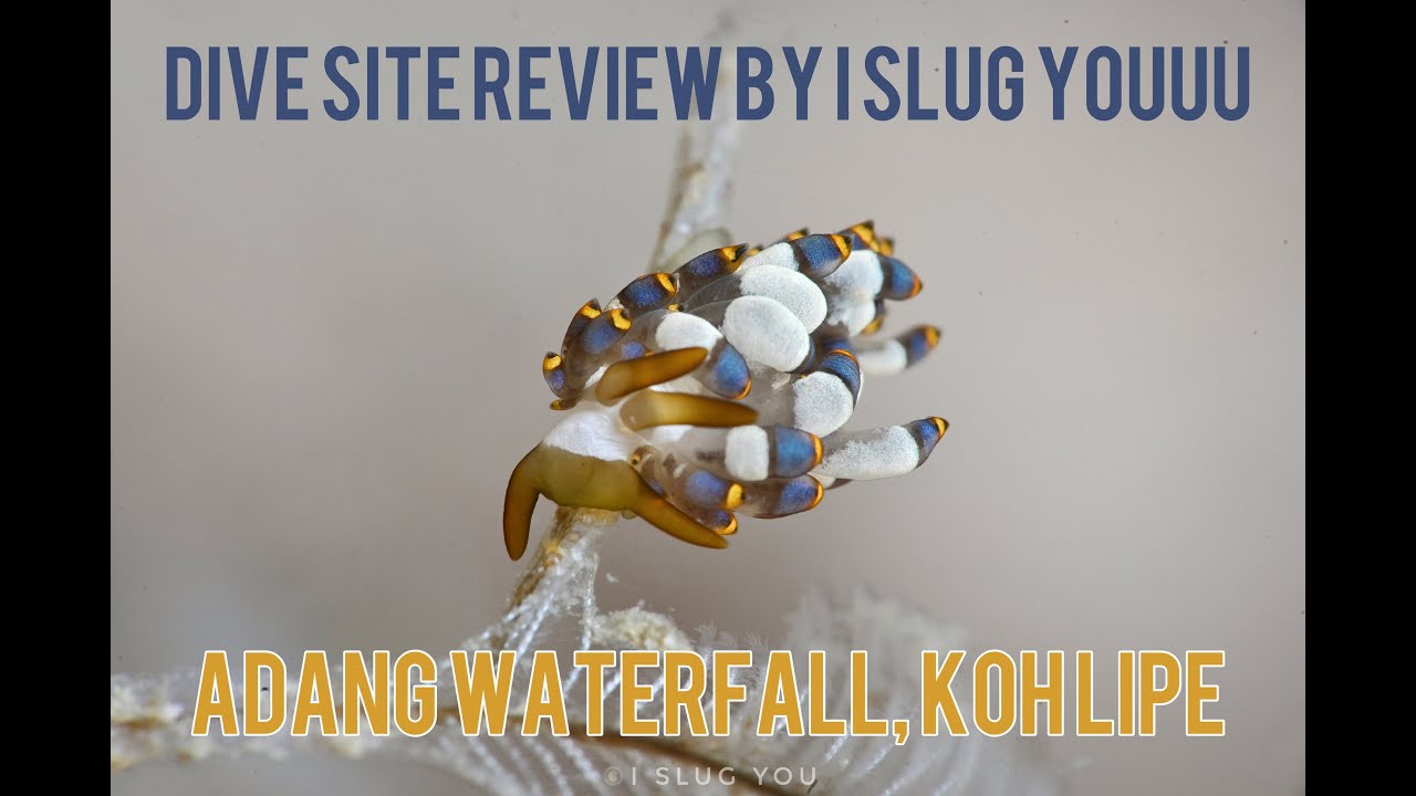 Dive site Review - น้ำตกอาดัง เกาะหลีเป๊ะ, Adang waterfall, Koh Lipe by I slug youuu