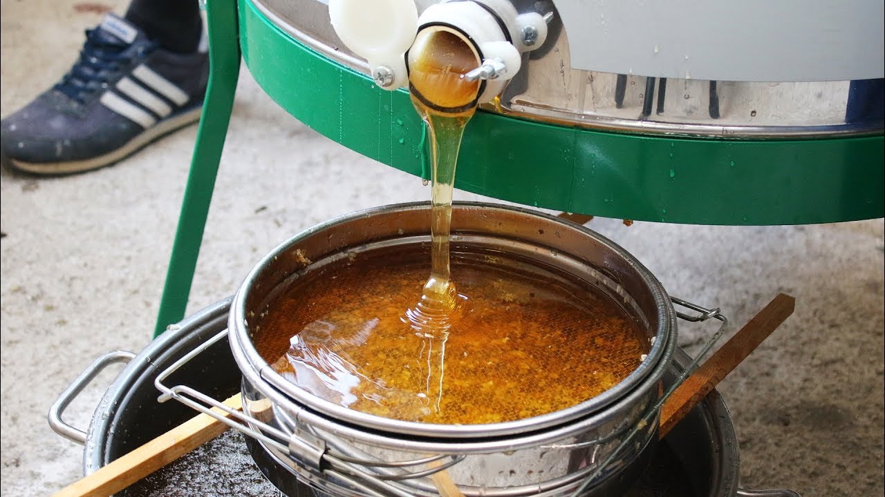 Vrcanje meda (Harvest Honey)