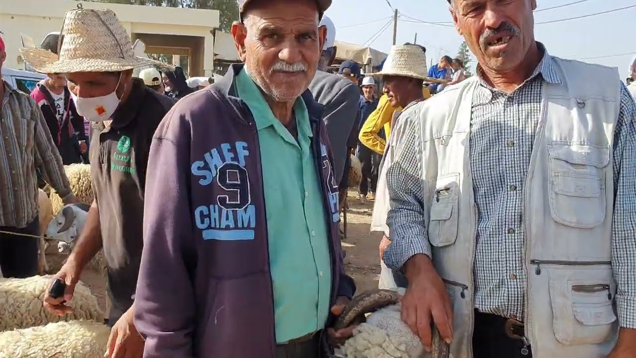 سوق عين الجمعة مكناس