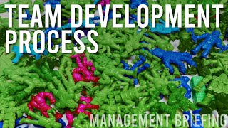 Team Development Process [Compilation]