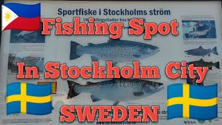 Stockholm City Stream - Fishing Spot