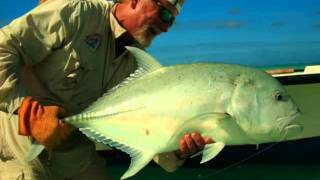 Alphonse Island   Seychelles