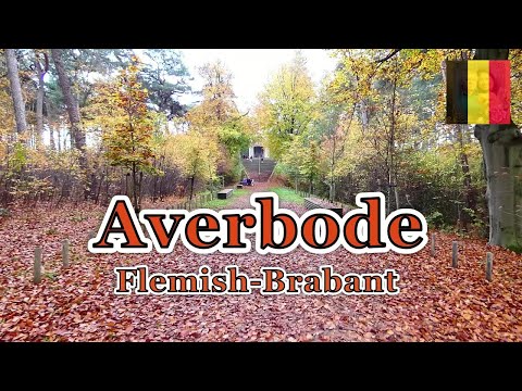 AUTUMN IN AVERBODE // FLEMISH-BRABANT // BELGIUM // ELLA'SLIFE