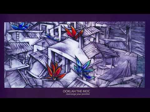 Ooklah the Moc - In This Time (Audio)