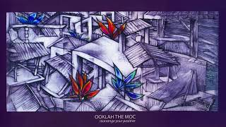 Ooklah the Moc - In This Time (Audio)