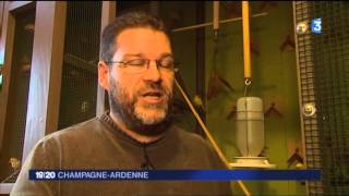 Reportage France 3 Olivier Laurain sur les canaris Harz du 11 01 16