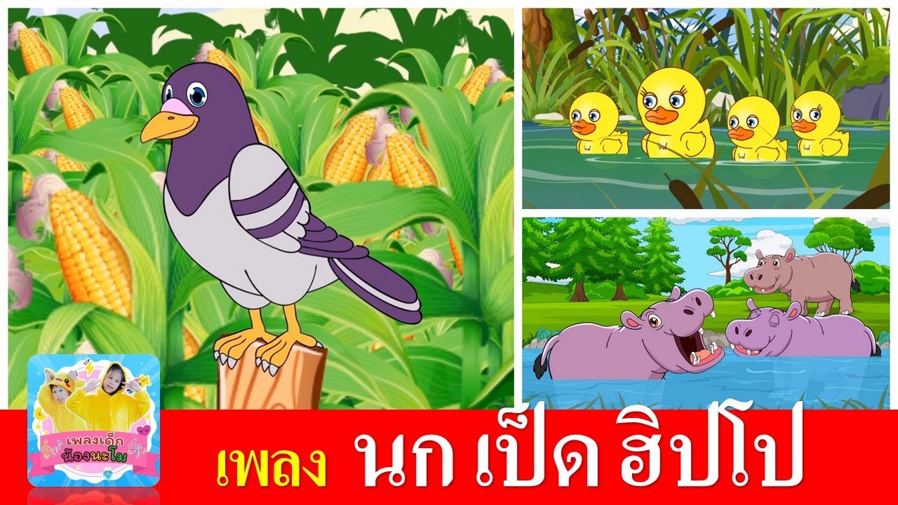 เพลงเด็ก นก เป็ด ฮิปโป | นกเขาบินข้ามเขา | เป็ดอาบน้ำในคลอง | ฮิปโปตัวใหญ่ๆ