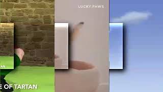 109 Shuric Scans with are Slides ABCmouse Search and Explore vs Lucky Paws