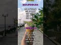 デートに誘われる　#恋愛占い