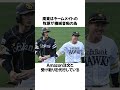 「周東佑京」に関するエピソード5選　#shorts #野球 #周東佑京 #野球解説 #雑学 #ソフトバンク