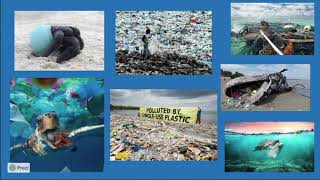 Single Use Plastic PSA