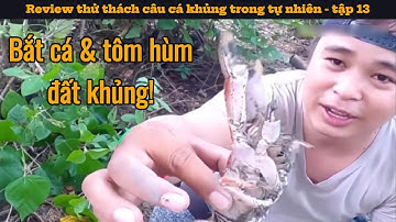 Bắt cá và tôm hùm đất khủng | Review thử thách câu cá khủng trong tự nhiên - tập 13