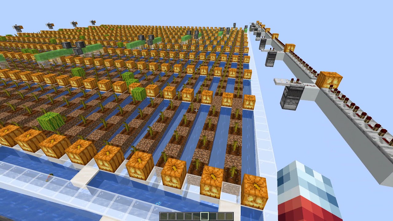 The Best Large Scale Melon Farm