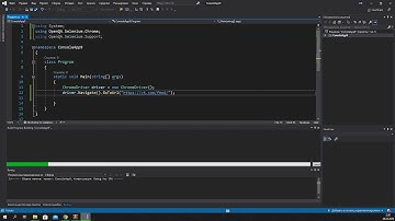 Установка и настройка Selenium и ChromeDriver