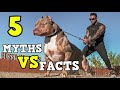 PITBULL 5 Myths VS Facts || You should MUST know before going close to any PITBULL