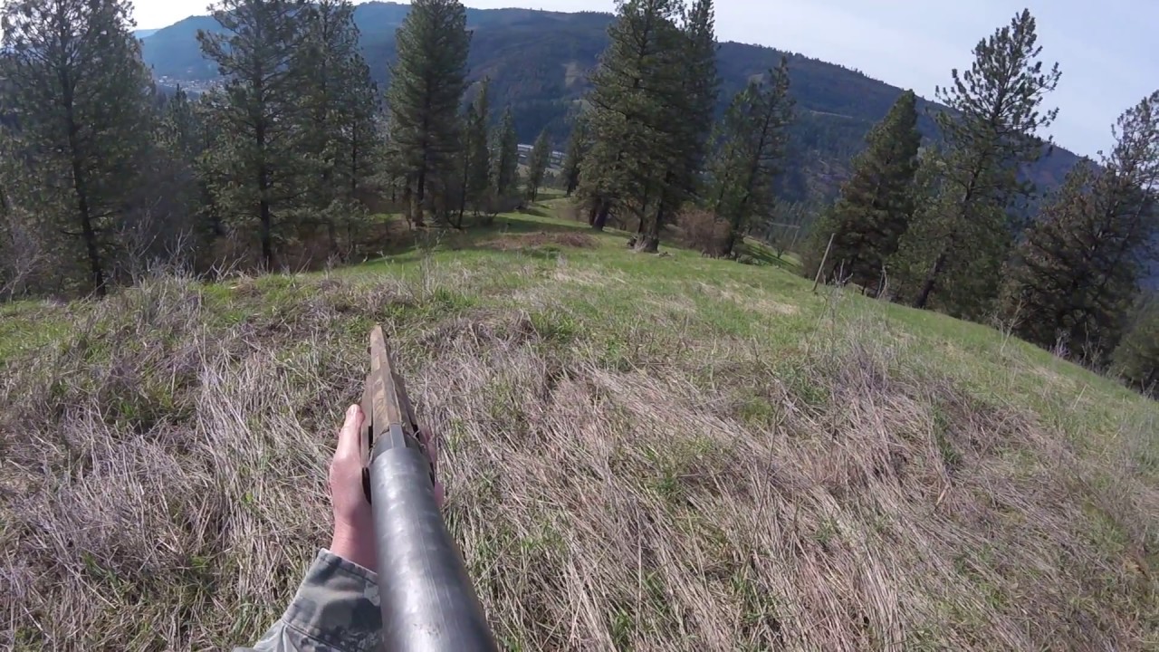 2017 1 Turkey Hunt in Idaho. A Hunter's View, while getting spured