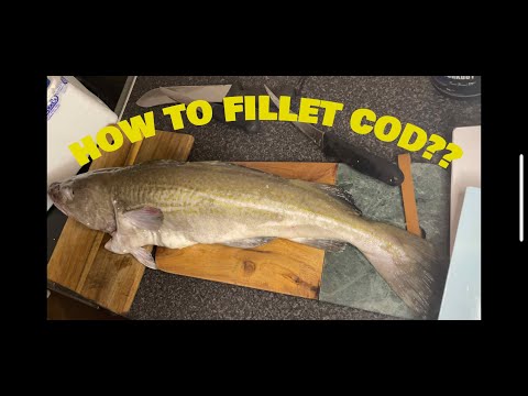 HOW TO FILLET WHOLE COD IN 2024/QUICK AND EASY