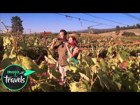 Wideo: Do Najbardziej Znanych Winnic W Napa Valley W Kalifornii