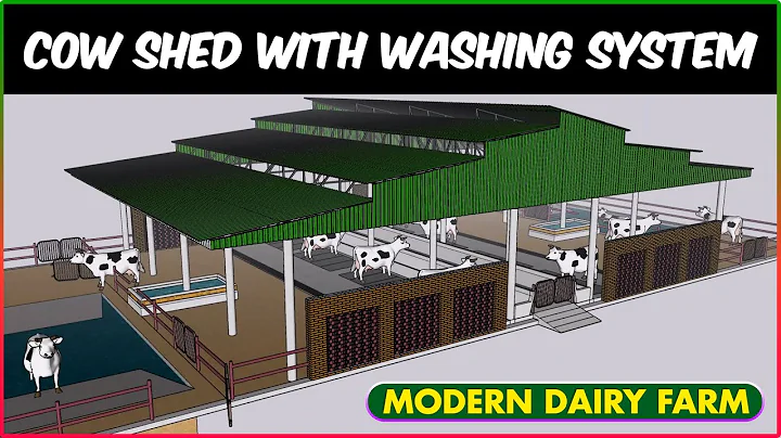 Cow Shed with Cow Washing Pond System | Modern High-Tech Dairy Farm System Design | Hi-Tech Cow Farm