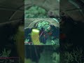 Cross saves the day