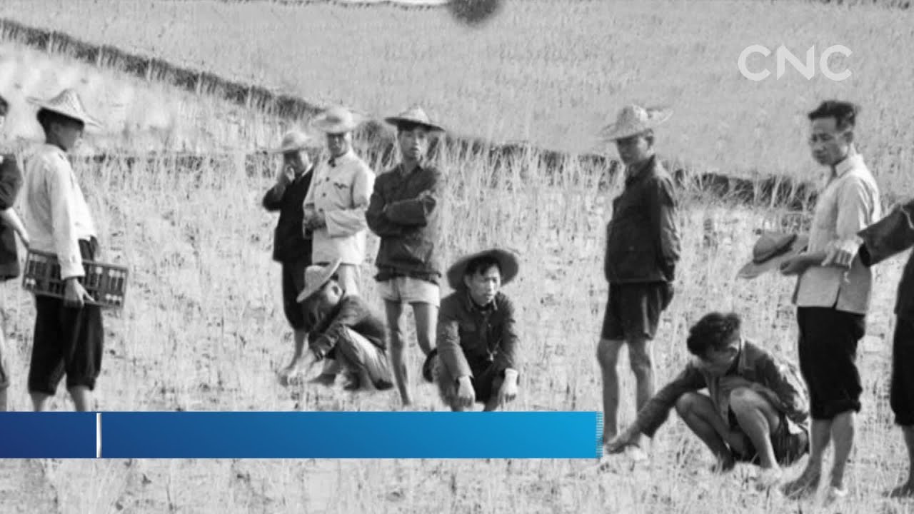 Xiaogang village, steaming ahead with rural reforms