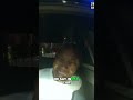 Phone Found In Car: A Crazy Story #shorts