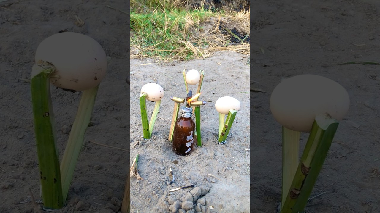 HOW TO DANGEROUS THREE BULLETS START WITH FIRE IN EGGS 🥚 