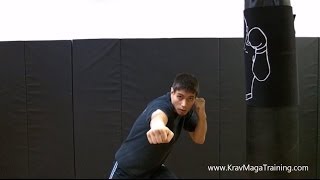 Krav Maga - Straight Punch Low 3 Position Tips