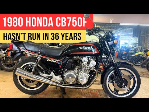 みー むい 楽天市場】左右共通形状ショートミラーVer.3 黒8mm正ネジ