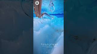 Surah Al-Insan 7618 عينا فيها تسمى سلسبيلا A Spring In Paradise