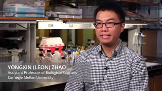 Expansion Microscopy and Virtual Reality Illuminates New Ways to Prevent and Treat Disease Profile