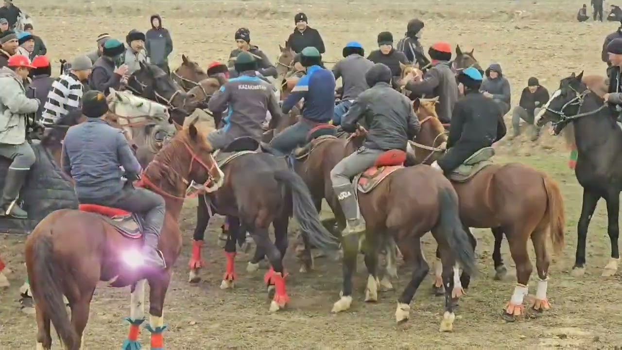 19 января 2024 г.