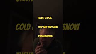 grateful dead playing cold rain and snow, harmonica #theharmonicat #gratefuldead