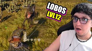 NUEVO BIOMA Las COLINAS estan acabando con migo  WINDROSE Cap 8 full Gameplay