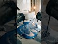 Luxury Bathroom Suite Epoxy Transformation | From Raw Concrete to Marble Spa Finish #shorts