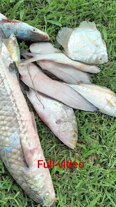 MENCARI REZEKI