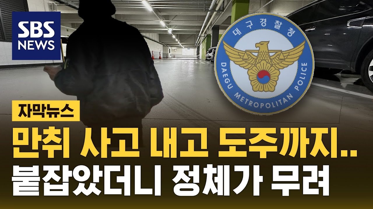 만취 사고 내고 도주까지…붙잡힌 운전자 정체는? (자막뉴스) / SBS