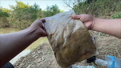 [Fishing] Kinh nghiệm làm mồi câu lancer và cách dùng drag máy thay cho chuông báo cá của Saika