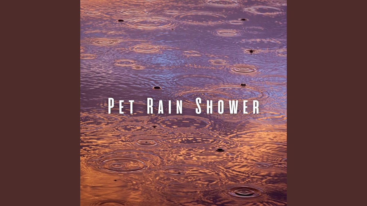 Soothing Pet Rainfall Harmony