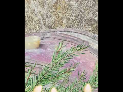 Season's Greetings | VINVERITY Sips