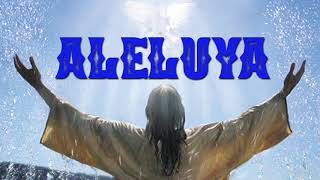 Video thumbnail of "Aleluya - (Video Oficial) Musica Cristiana"