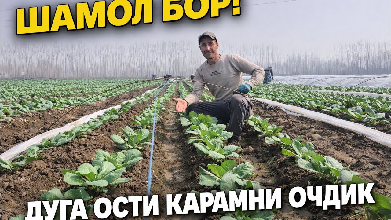 МАНА ЕР АЛДАМАЙДИ,МАНА ИСБОТИ  #bobodexqonlar 