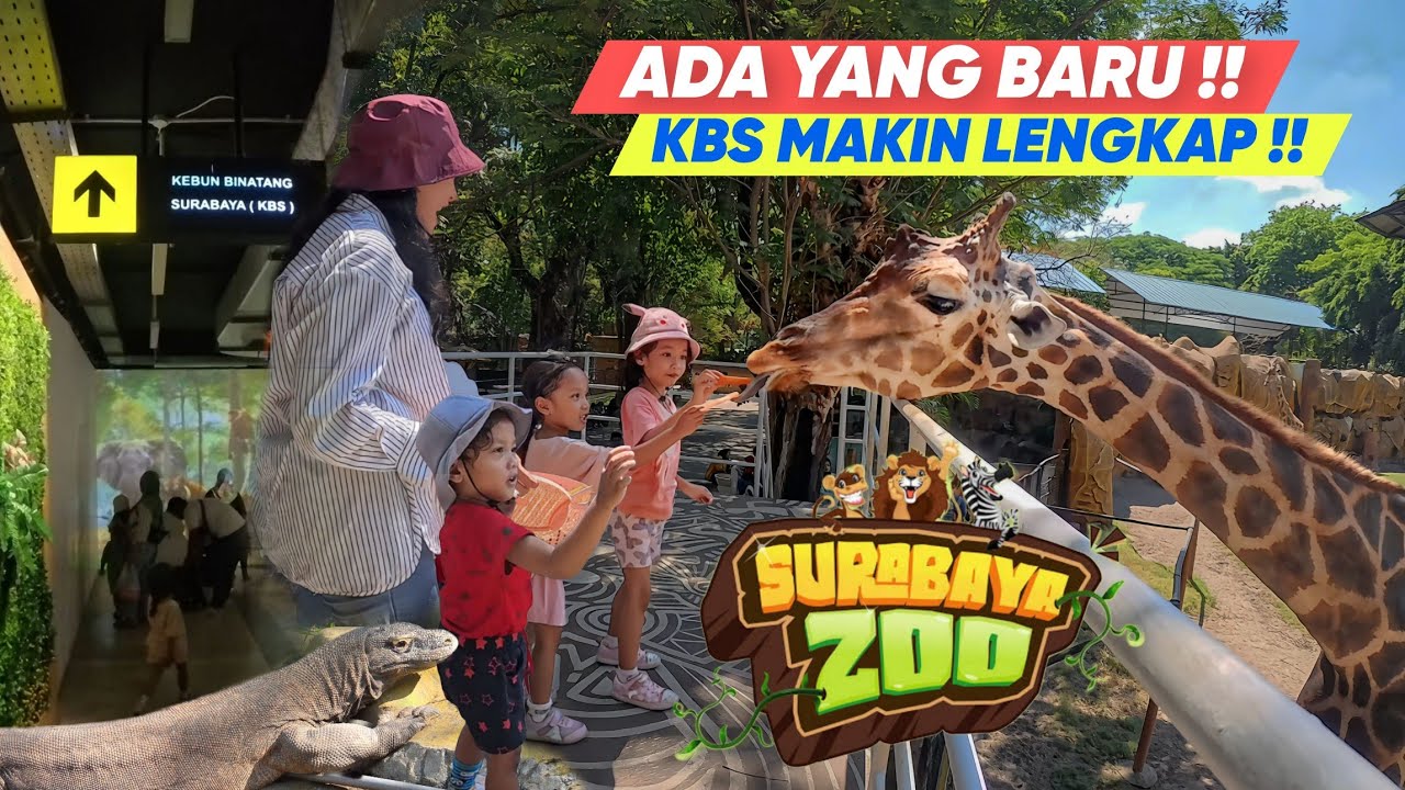 WAJAH BARU KEBUN BINATANG SURABAYA - KBS Semakin Lengkap dan Nyaman !!