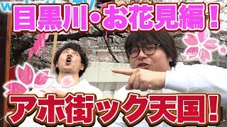 お花見してるやつらの偏差値は？アホ街ック天国！目黒川お花見編！【wakatte.TV】#169